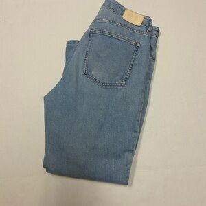 Everlane Light Blue Curvy Cheeky Ankle Jean Size 32